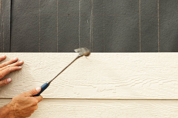 Best Custom Trim and Detailing for Siding  in USA